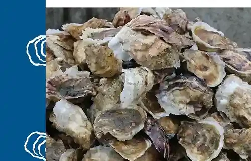 Revised oyster manual hits the shelves