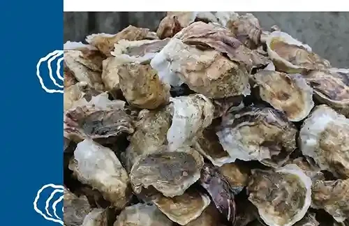 Revised oyster manual hits the shelves