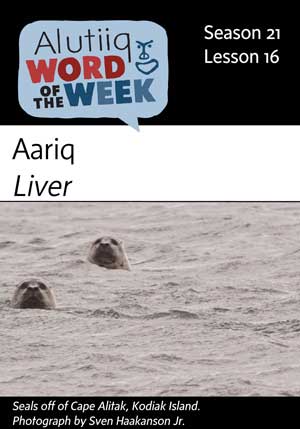 Liver-Alutiiq Word of the Week-October 14th