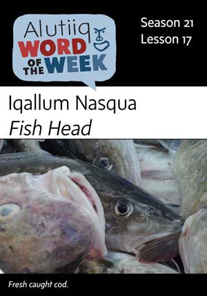Fish Head-Alutiiq Word of the Week-October 21st