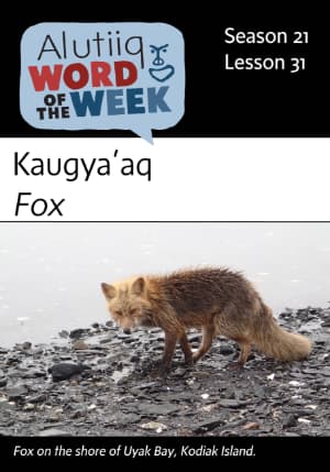 Fox-Alutiiq Word of the Week-January 27th