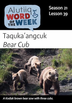 Bear Cub-Alutiiq Word of the Week-March 24th