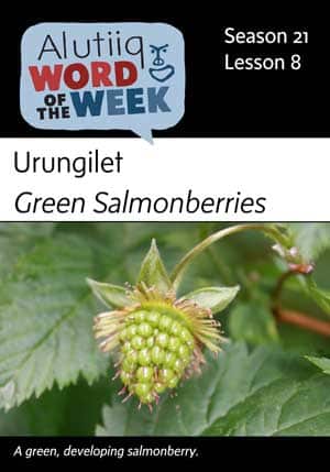 Green Salmonberry-Alutiiq Word of the week-August 19th