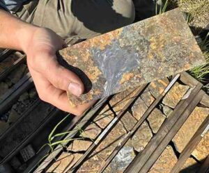 Photo courtesy of Lee Ann Munk
Lee Ann Munk of the University of Alaska Fairbanks Geophysical Institute holds an exploration rock core containing gallium and silver-rich galena. Munk had recently visited the western Alaska exploration site of Alaska Silver, an industry partner in the new NSF Engine.