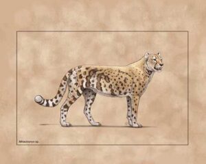 Illustration by Julius Csotonyi
An American cheetah (Miracinonyx trumani).
