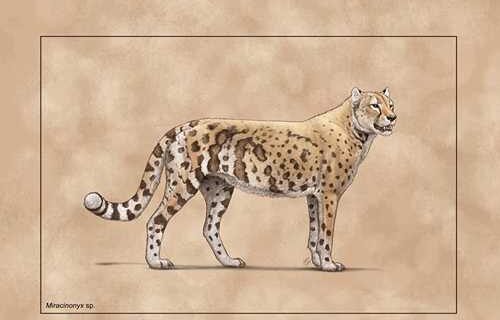 Ancient ‘cheetah’ adapted to a fish-based diet to survive