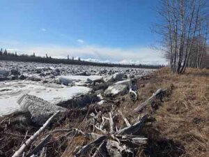 Photo by Dan Gillikin
The Aniak River outside Dan Gillikin’s house is choked with chunks of ice during a slow breakup on May 10, 2026.