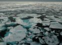 Q&A: The Arctic melt season is a week longer now than it was in the 1980s, shows new UW research on sea ice trends