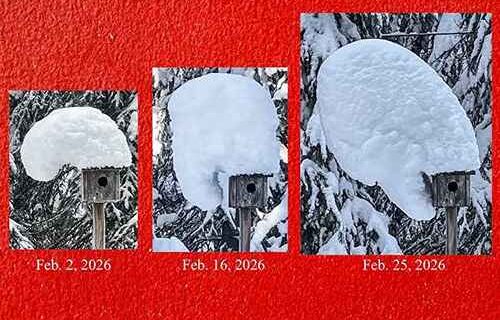 Alaska writer buckling under pressure