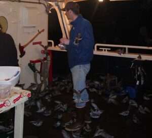 Birdstorm. Image-Audubon Alaska