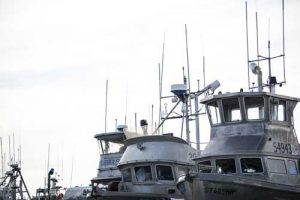 Boats at the dock in Aleknagik,.Image-Dennis Wise/University of Washington