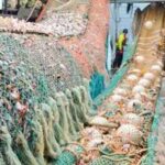 Crewmembers haul full bag of pollock aboard. Image-NOAA