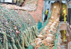 Crewmembers haul full bag of pollock aboard. Image-NOAA