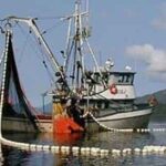Commercial salmon seiner. Image-ADF&G