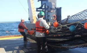 Crew members align the net as it winches in with the fish in the orange bag that still trails in the water. (Credit: NOAA)