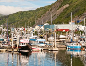 Kodiak harbor. Image-Comfish