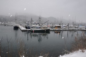 Snow falls onto vessels moored in downtown Juneau Harbor near the Juneau-Douglas Bridge, Dec. 16, 2009. The Coast Guard encourages owners and operators who have vessels moored to piers throughout Southeast Alaska to conduct preventative maintenance prior to winter weather conditions. (Coast Guard photo by Petty Officer 3rd Class Walter Shinn)