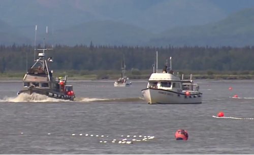 Alaska’s Salmon Harvest Nears 48 Million Fish