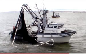 Two purse seiners take part in Togiak Herring fishery. Image-YouTube screengrab