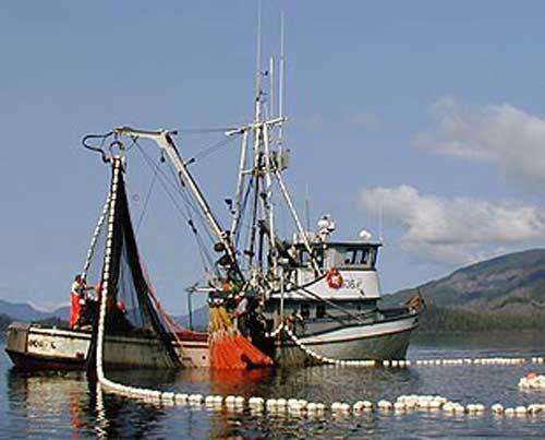 Kodiak Commercial Salmon Fishery Update #01