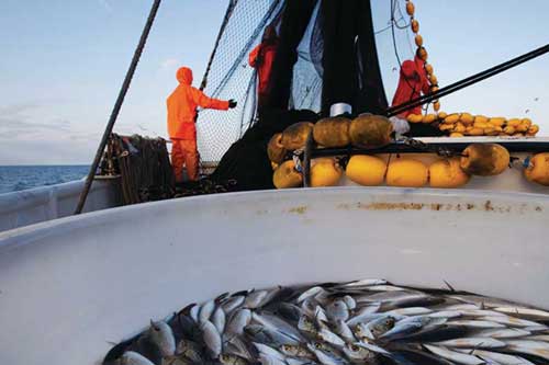 U.S. Leads in Global Fisheries Management