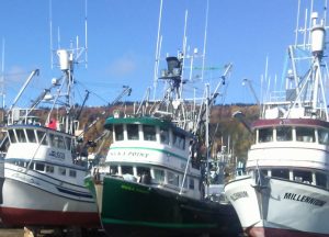 Commercial Salmon vessels laid up for the winter in the Homer Boat Yard. Image-ANN