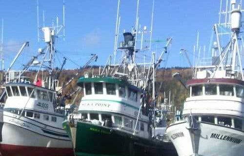 Disaster Fund Deadline for CFEC Permit Holders Set for Oct 31