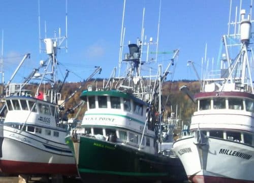 Congressman Don Young Leads Legislation to Strengthen Safety Programs for Alaska’s Fishermen