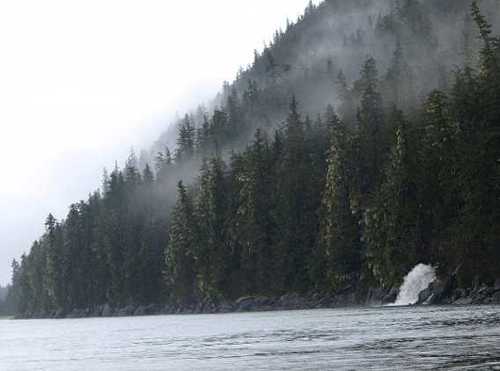 Alaska Delegation Applauds Signing of Cape Fox Land Entitlement Finalization Act