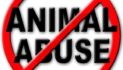 Misty Rehder Indicted by Grand Jury on 24 Counts of Animal Abuse