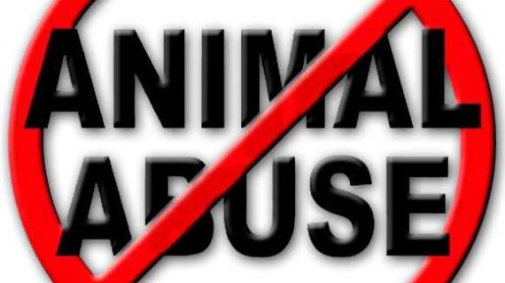 Misty Rehder Indicted by Grand Jury on 24 Counts of Animal Abuse