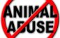 Misty Rehder Indicted by Grand Jury on 24 Counts of Animal Abuse
