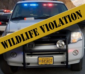 Two Maryland Moose Hunters Charged with Wanton Waste in Bethel Investigation