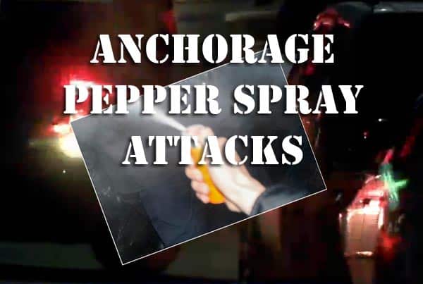 Anchorage Police Seek Pepper-Spraying Suspect
