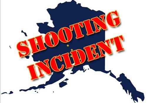 Armed Man Shot by APD Officers on Glenn Highway Sunday