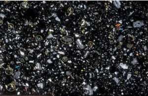 Photo courtesy of Valerie Wasser The image shows a section of polished rock 30 microns thick. Circles on the image show crystal clots containing plagioclase.