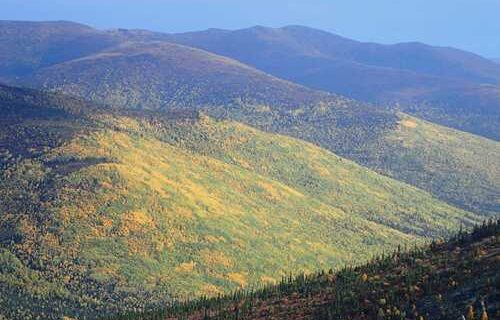 The season of senescence is upon us