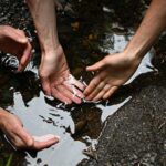 Lia Ferguson Field researchers try to identify a salmon fingerling stranded in a puddle near Juneau in 2025, part of the Southeast Alaska research featured in “Episode 3: Leadership” of the radio series