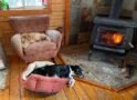 Time capsule: Hardwood, softwood, fuelwood