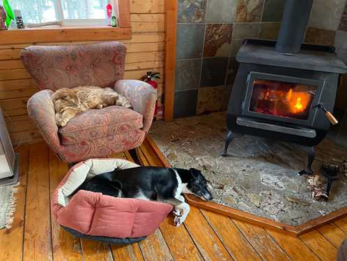 Time capsule: Hardwood, softwood, fuelwood