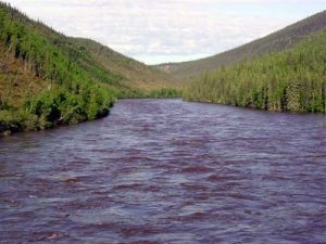 Fortymile River as seen from the Taylor Highway. Image-NOAA/Public Domain