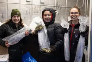 Terese Vicente, Annie Masterman and Robin Masterman pack up salmon for distribution through the ex-Typhoon Halong traditional foods drive. Photo by Katie Basile/Alaska Sea Grant.