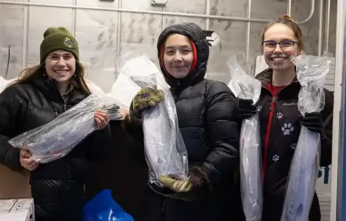 Helping Halong recovery, one freezer at a time