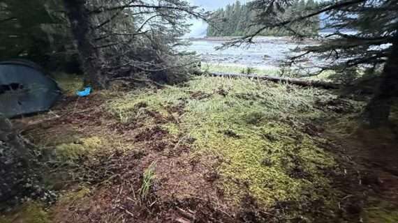 If a mountain fell in the wilderness…