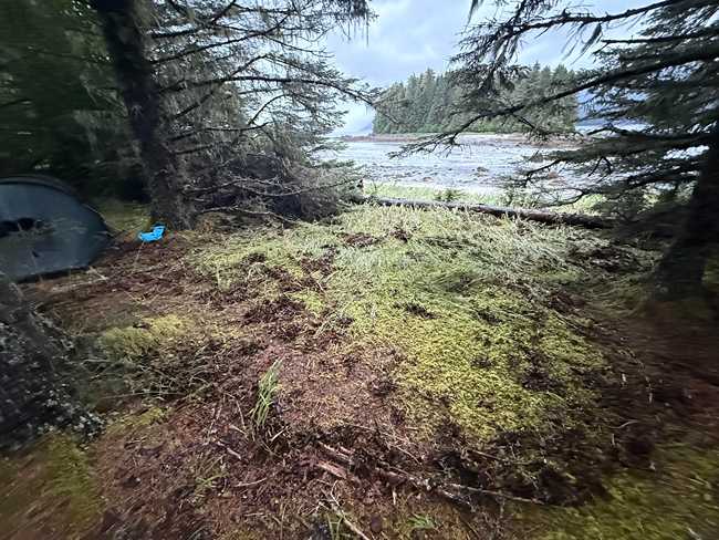 If a mountain fell in the wilderness…