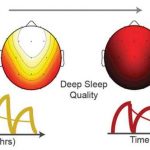 Deep Sleep Quality. Image-University of California-Berkley