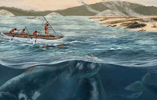 Whale hunting began 5,000 years ago in South America, a millennium earlier than previously thought