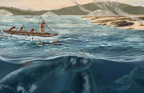 Whale hunting began 5,000 years ago in South America, a millennium earlier than previously thought
