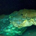 ROV image of a partially collapsed gas hydrate mound in the Molloy Deep (Freya mounds). The mound hosts frenulate worms and crustaceans. Photo: UiT / Ocean Census / REV Ocean