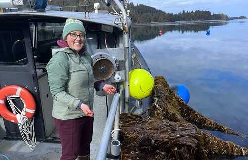 Alaska kelp farms have varied effects on marine CO2 levels